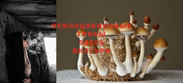 соль курить ск Баксан