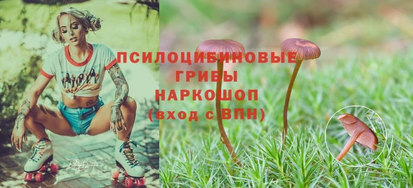 ешки Балахна