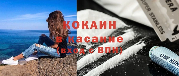 spice Богородск